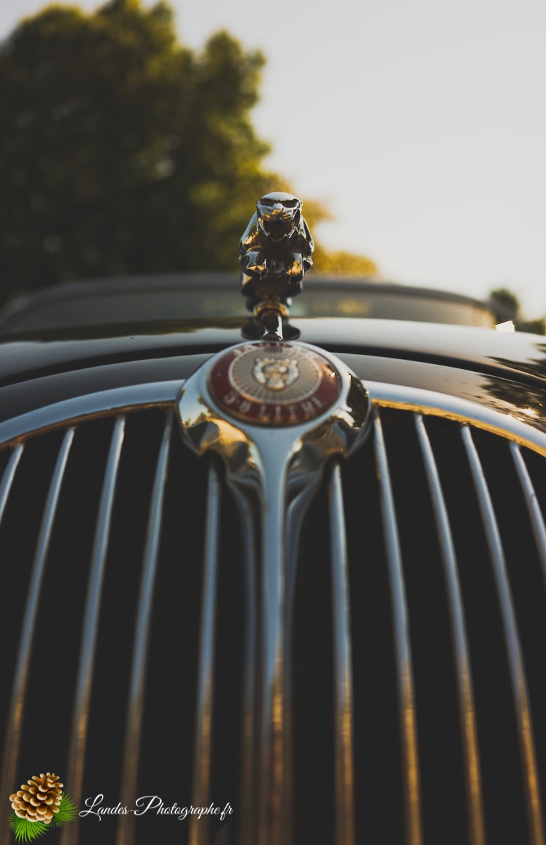 🚗 Car & Moto Addiction à Soustons : Le Charme Intemporel des Belles Anciennes